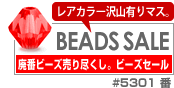 �ӡ������ѡ��롦�ڥ�����